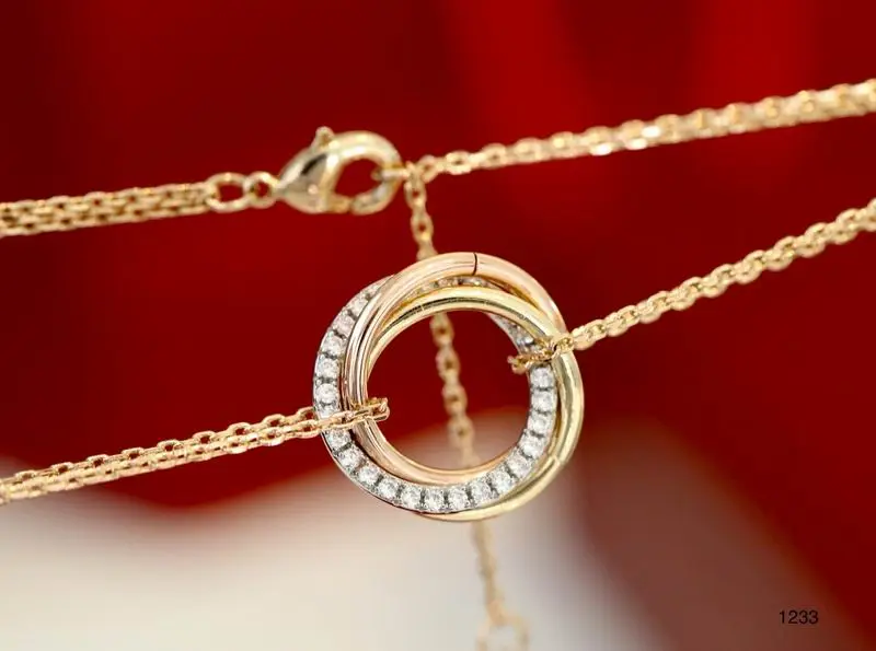 Cartier necklace 11lyx23 (9)