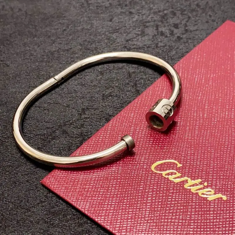 Cartier bracelet 11lyx16 (9)