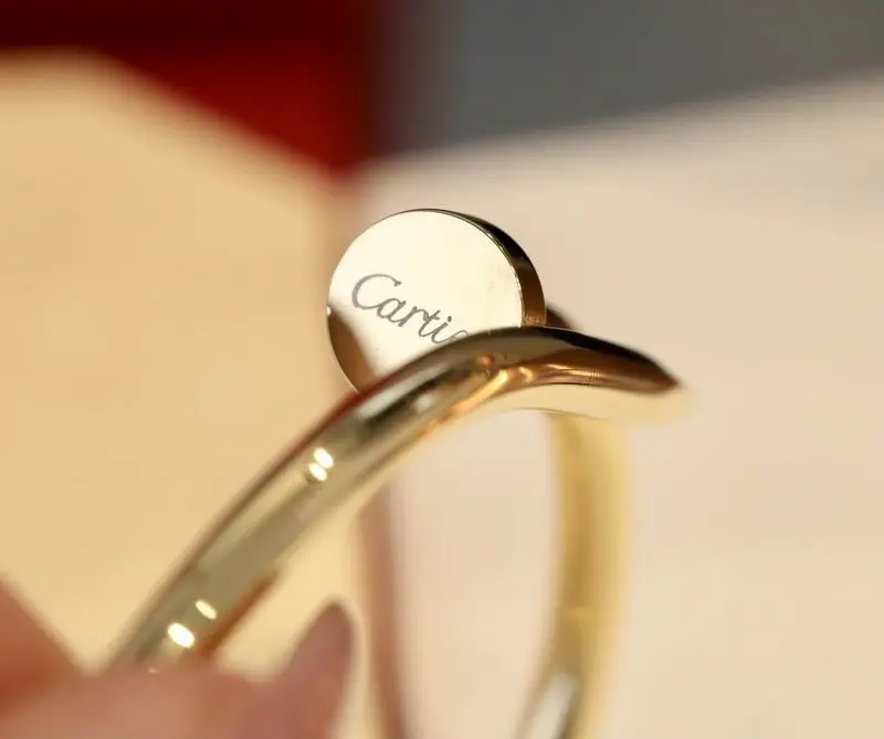 Cartier bracelet 10lyx14 (6)