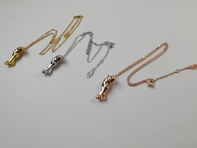 Cartier necklace 11lyx23 (24)