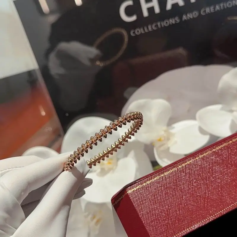 Cartier bracelet 11lyx35 (6)