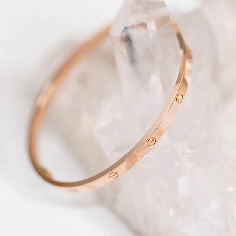 Cartier bracelet 09lyx4 (9)