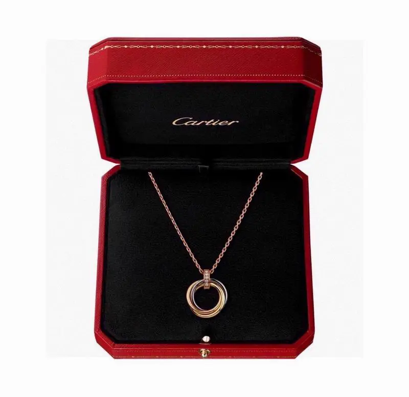 Cartier necklace 11lyx27 (9)