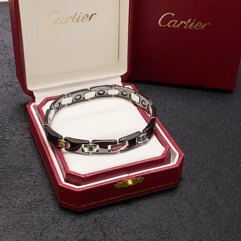 Cartier bracelet 10lyx11 (9)