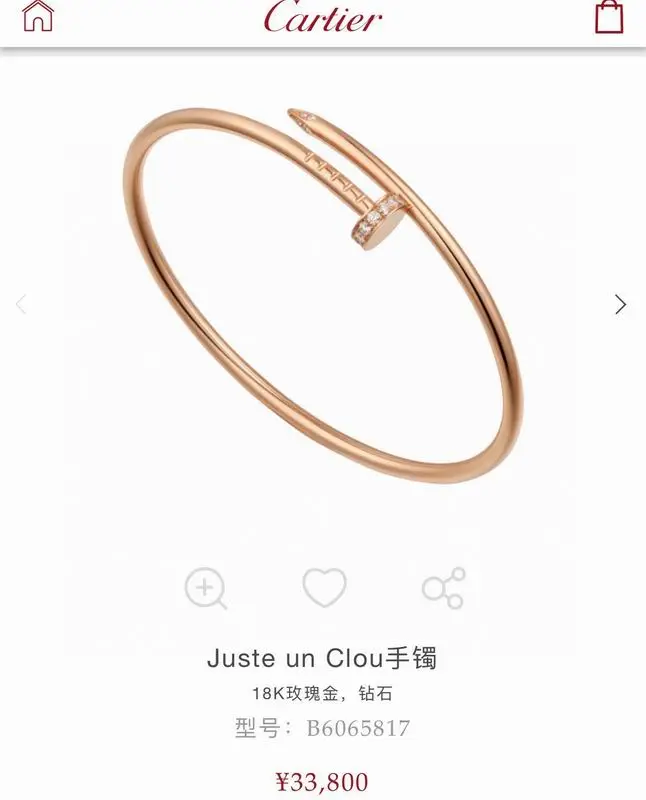 Cartier bracelet 09lyx9 (9)