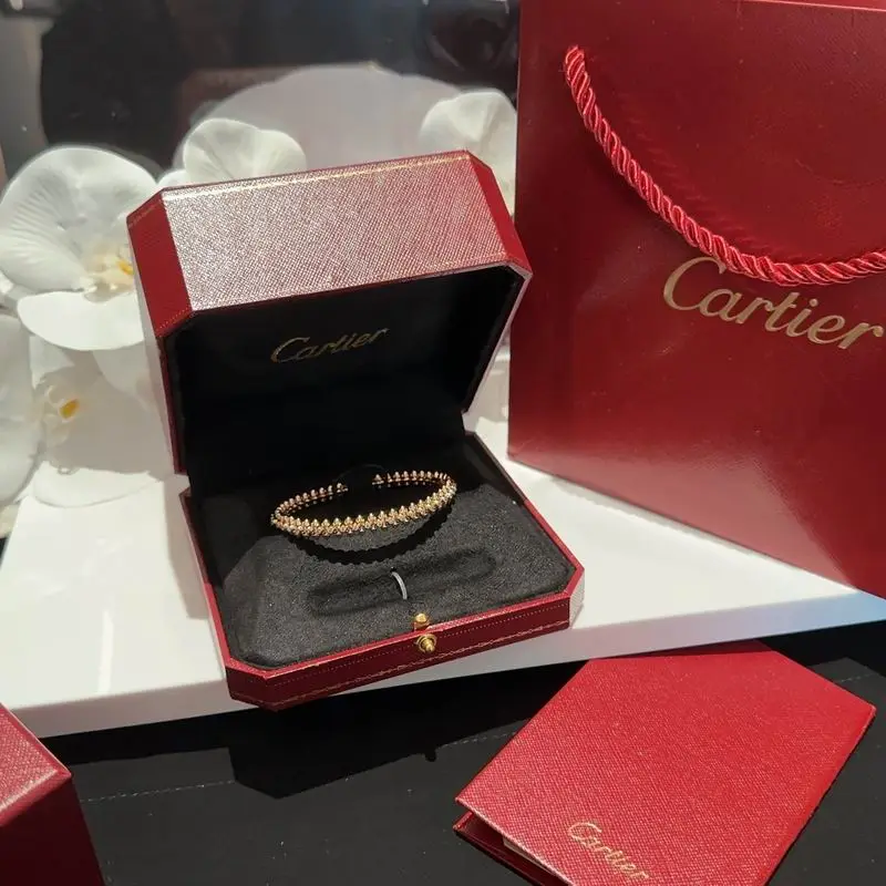Cartier bracelet 11lyx35 (6)