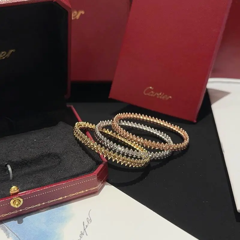 Cartier bracelet 11lyx34 (9)