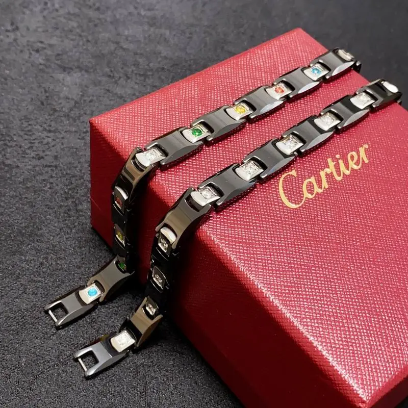 Cartier bracelet 10lyx11 (9)