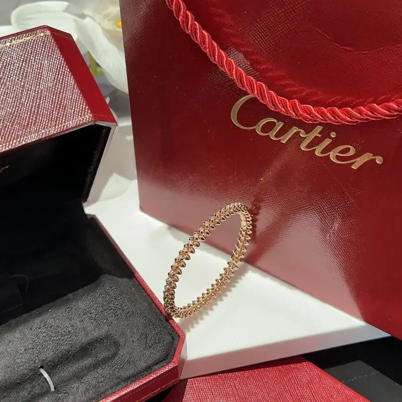 Cartier bracelet 11lyx35 (6)