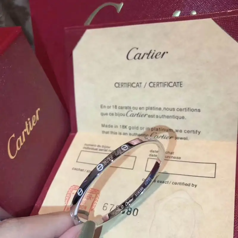 Cartier bracelet 09lyx4 (9)