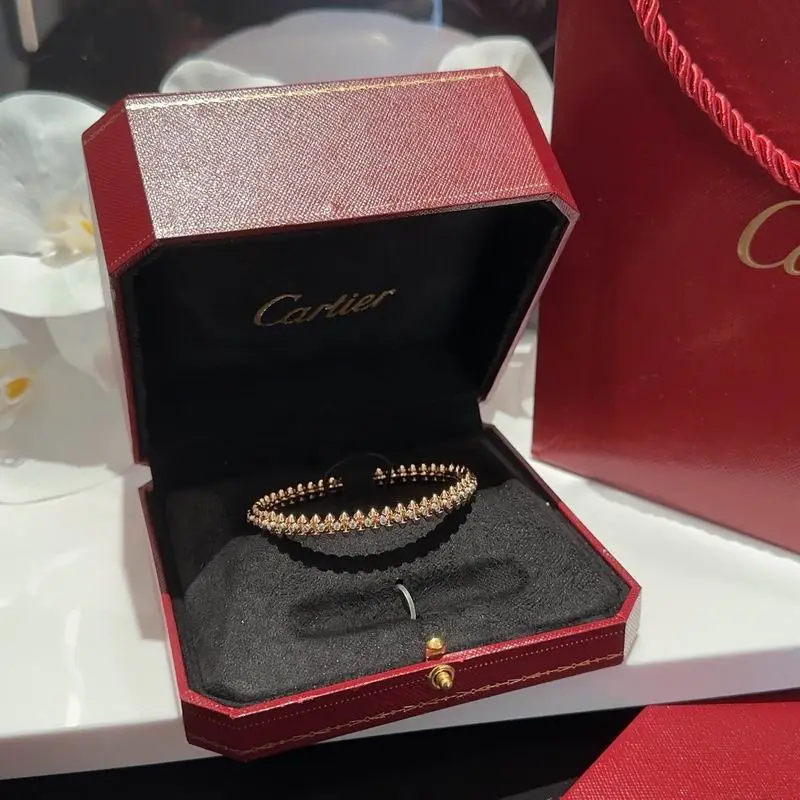 Cartier bracelet 11lyx35 (6)