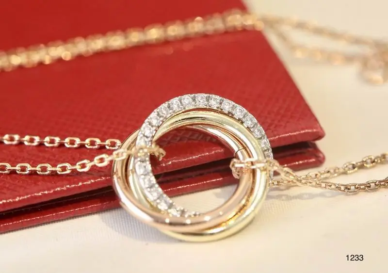 Cartier necklace 11lyx23 (9)