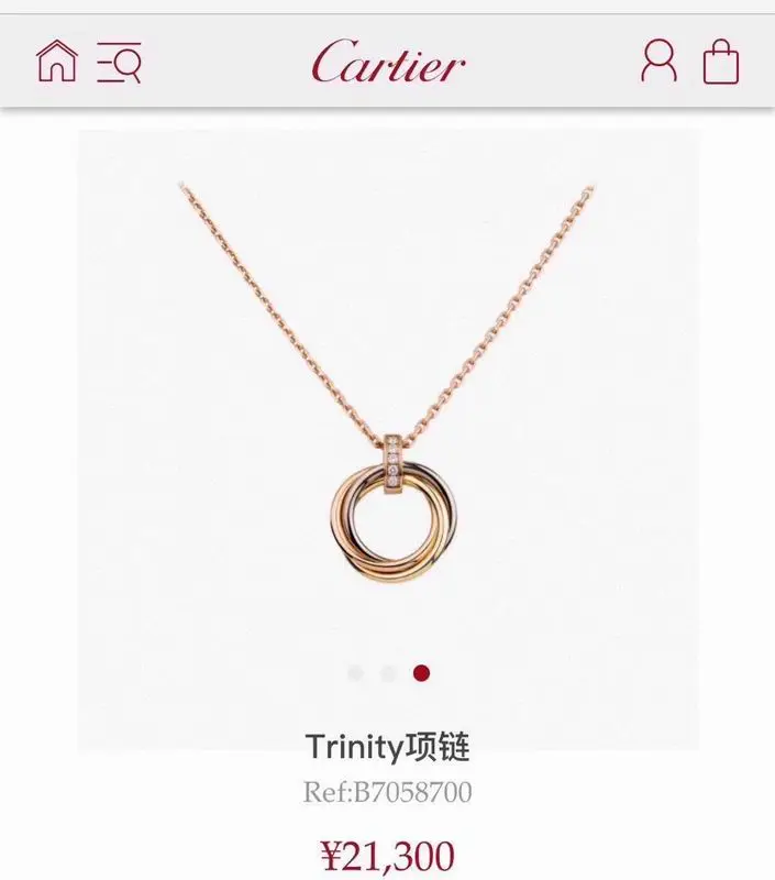 Cartier necklace 11lyx27 (9)