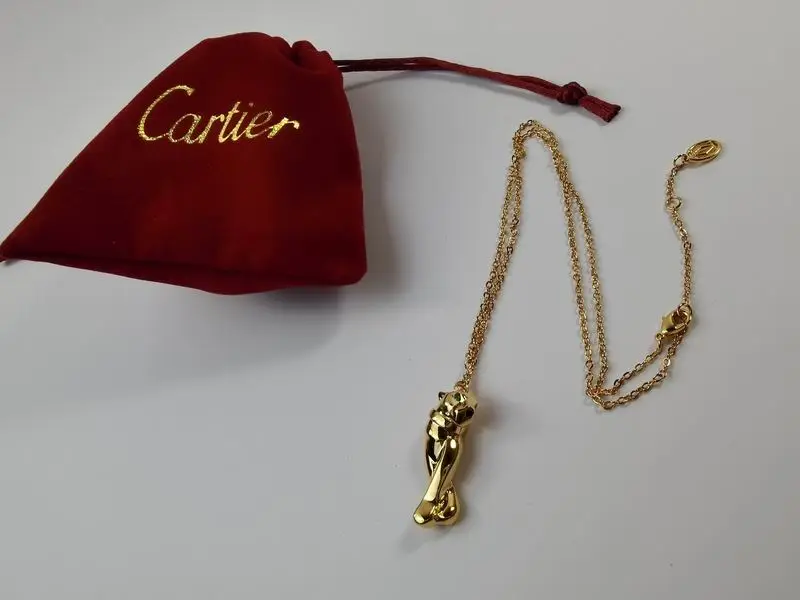 Cartier necklace 11lyx23 (24)