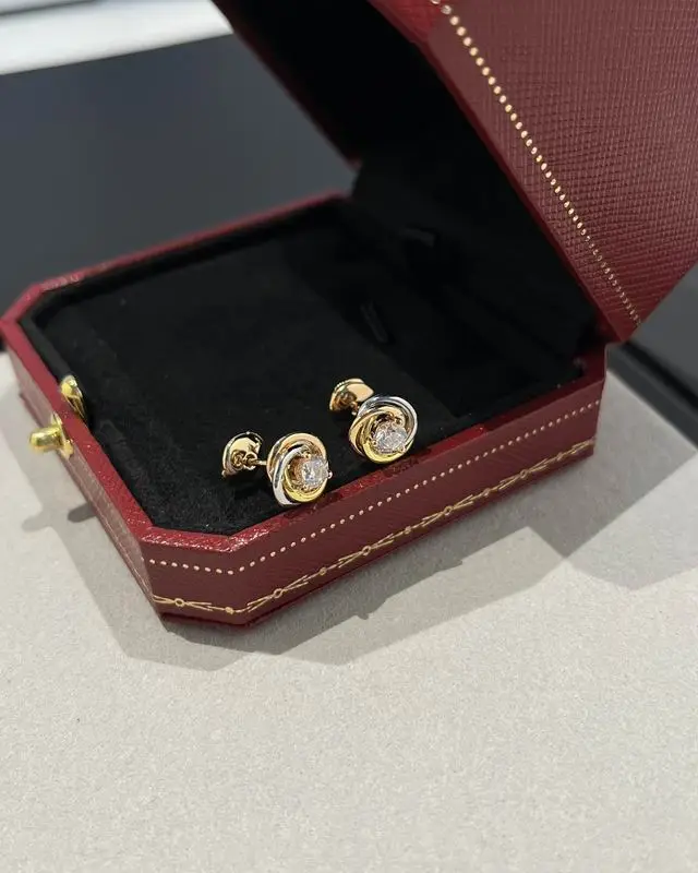 Cartier earring 12lyx17 (9)