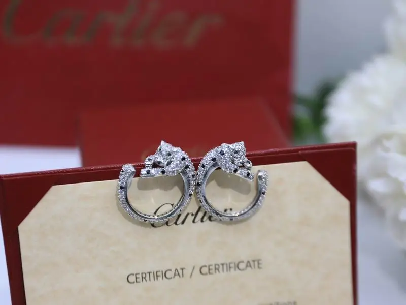 Cartier earring 09lyx1 (9)