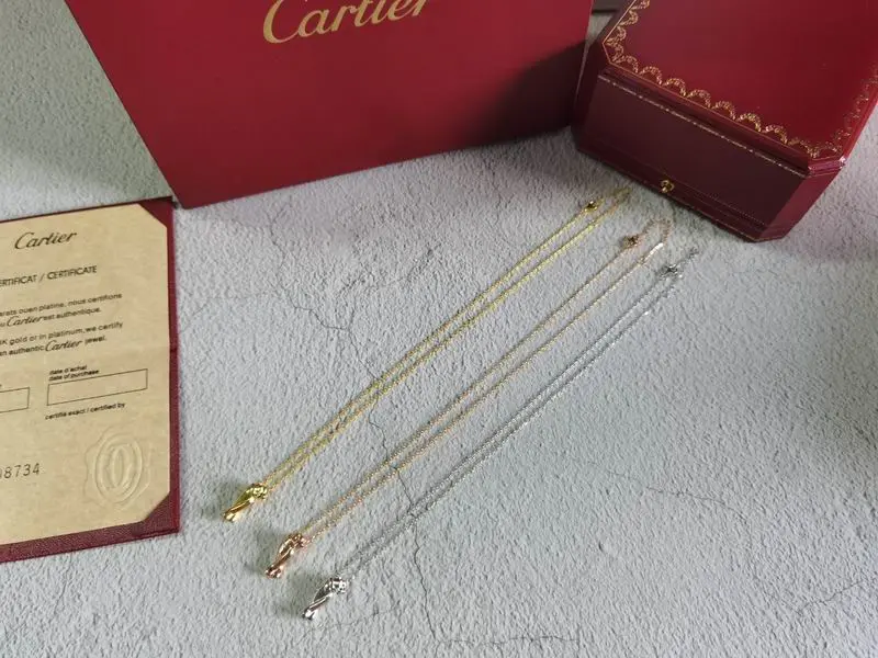 Cartier necklace 11lyx23 (24)