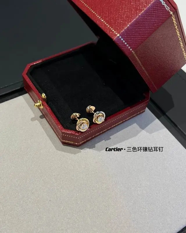 Cartier earring 12lyx17 (9)