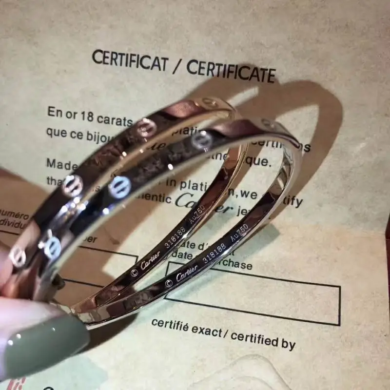 Cartier bracelet 09lyx4 (9)