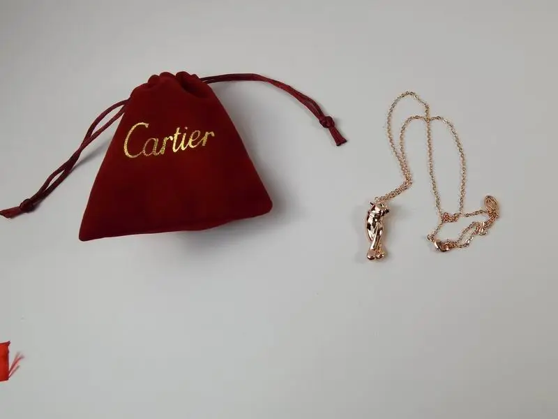Cartier necklace 11lyx23 (24)