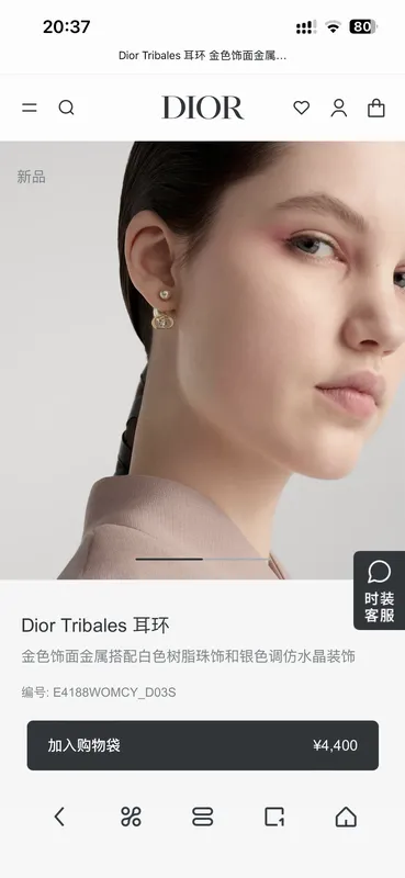 Dior Earring 05yxh93 (1)