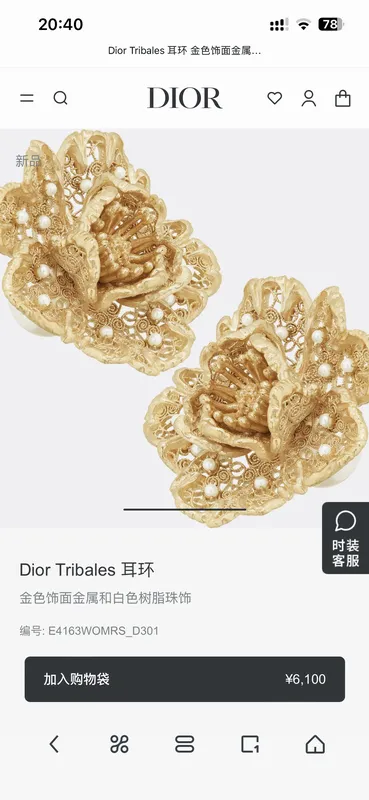 Dior Earring 05yxh92 (1)