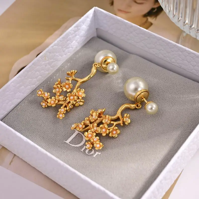 Dior Earring 05yxh78 (1)