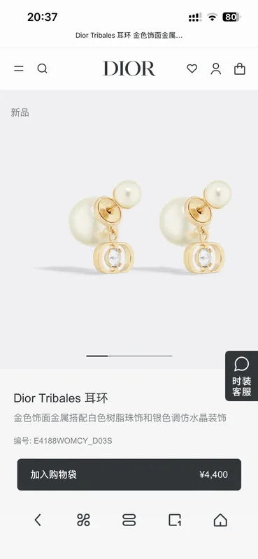 Dior Earring 05yxh93 (1)