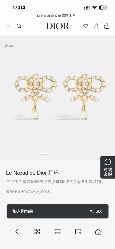 Dior Earring 05yxh83 (1)