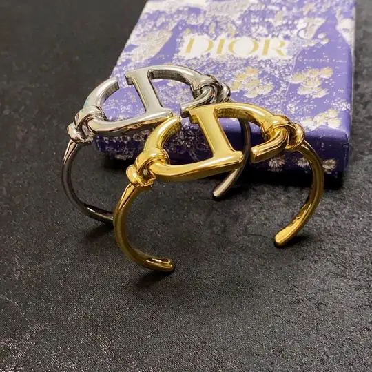 Dior Bracelet 11lyh09 (1)