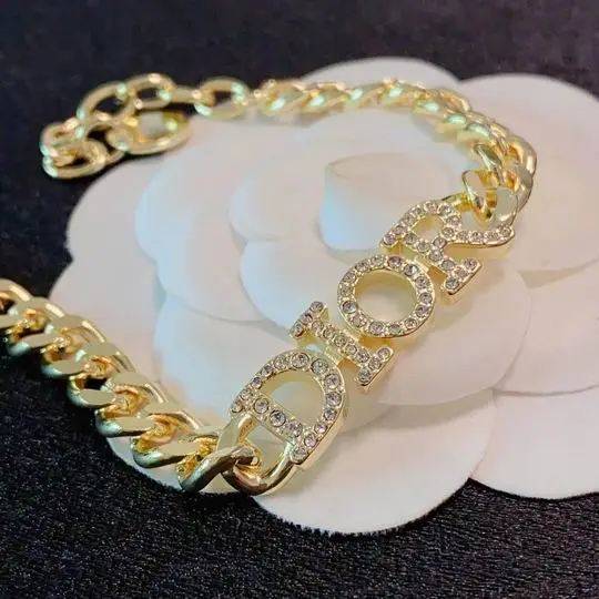 Dior Bracelet 11lyh10 (1)