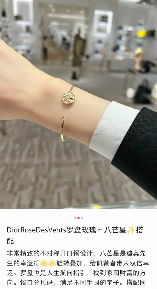 Dior Bracelet 11lyh02 (1)