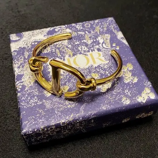 Dior Bracelet 11lyh09 (1)