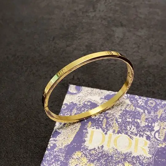 Dior Bracelet 11lyh03 (1)