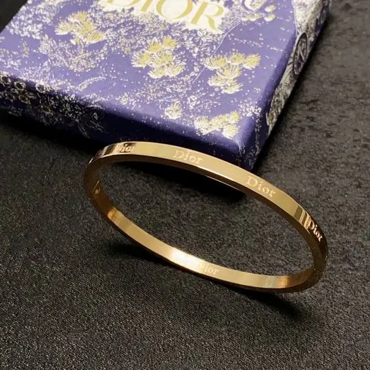 Dior Bracelet 11lyh03 (1)