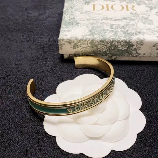 Dior Bracelet 11lyh04 (1)