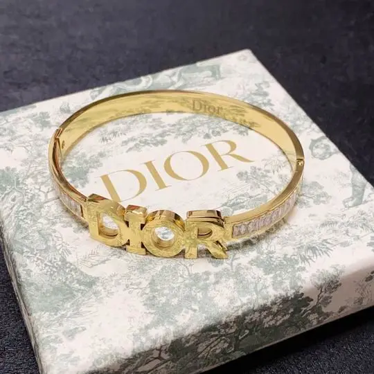 Dior Bracelet 11lyh08 (1)