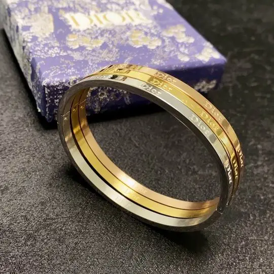 Dior Bracelet 11lyh03 (1)