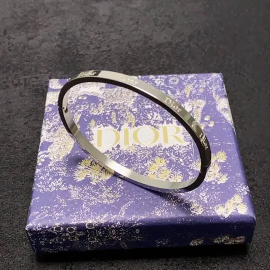 Dior Bracelet 11lyh03 (1)