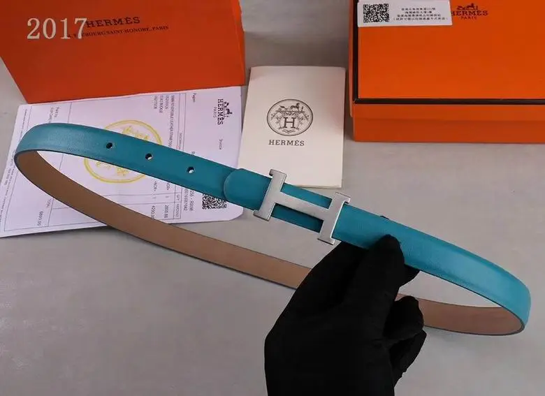 Hermes Belt 20mmX95-110CM 7D (59)