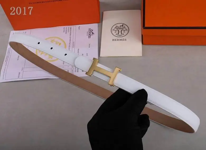 Hermes Belt 20mmX95-110CM 7D (59)
