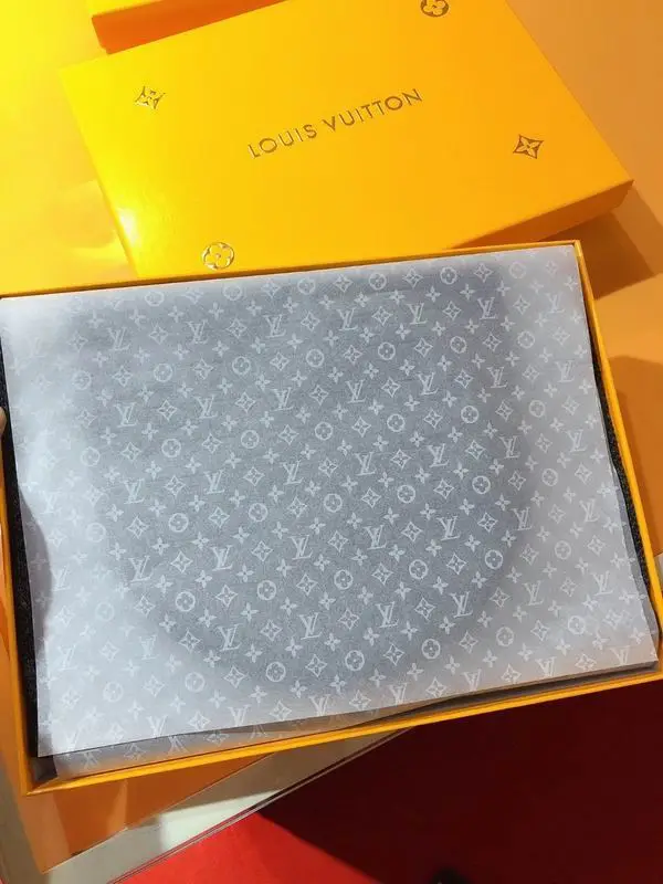 LV Scarf hat 30X180cm E10 (14)