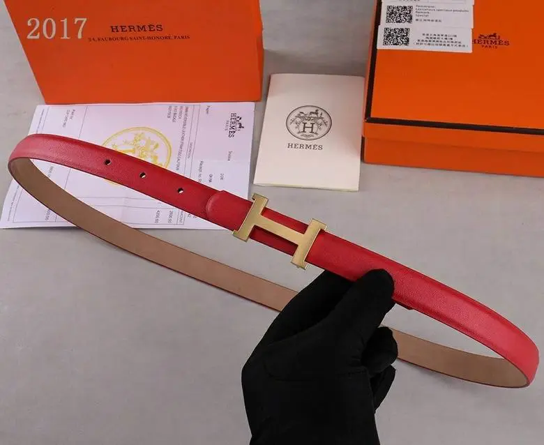 Hermes Belt 20mmX95-110CM 7D (59)