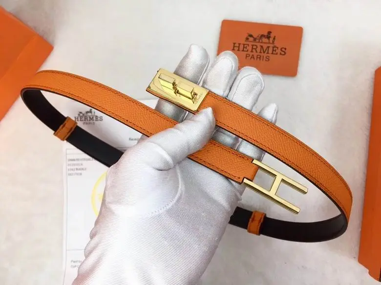 Hermes Belt 20mmX95-110CM 7D (59)