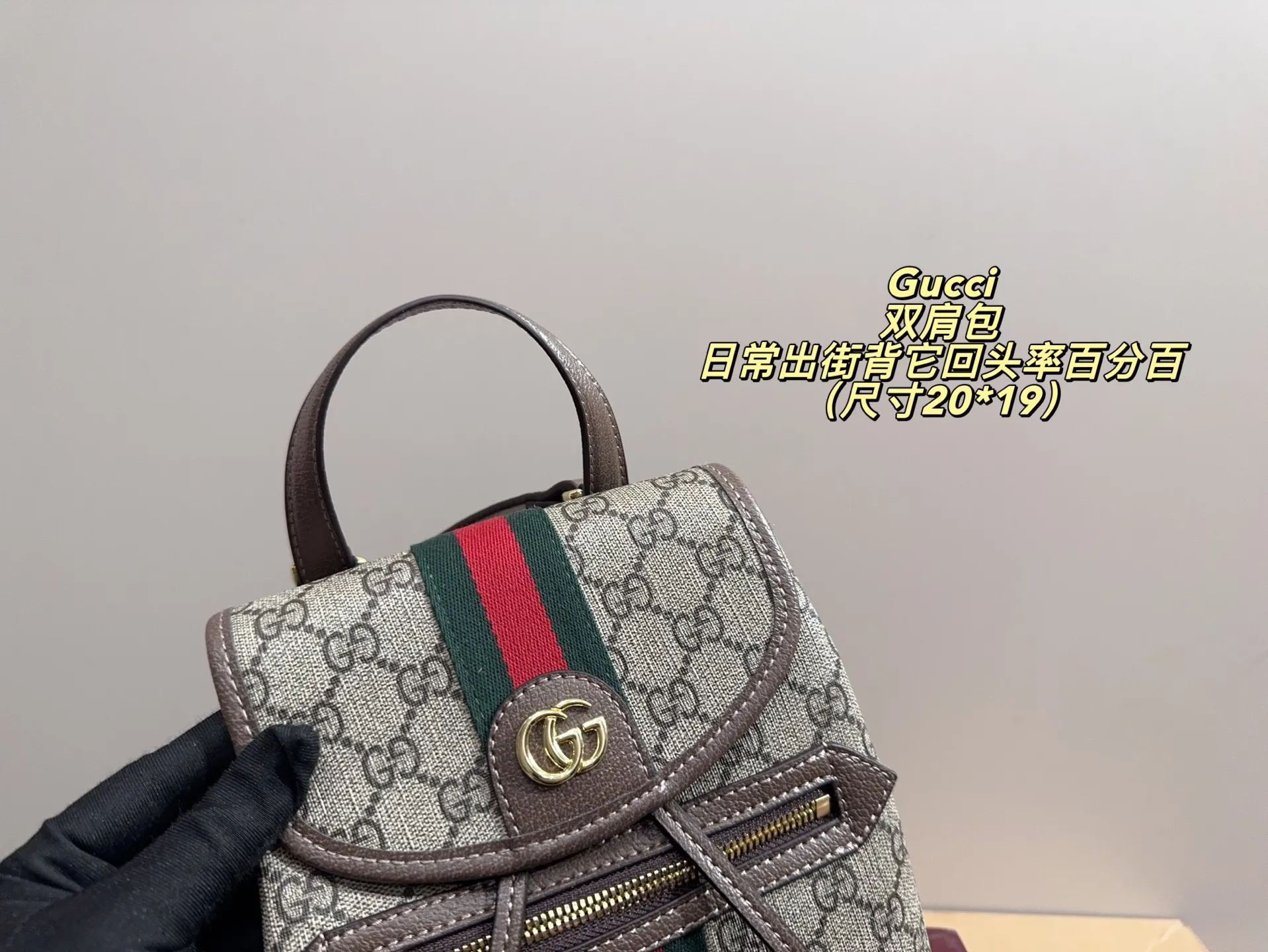 P170配折叠盒⚠️尺寸20*19 酷奇 Gucci mini双肩包 质感很高级 容量超级大也很耐用 日常出街背它回头率百分百 就是这种随性慵懒感