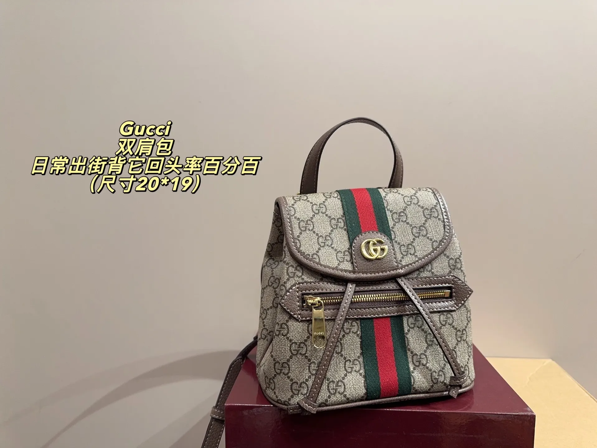 P170配折叠盒⚠️尺寸20*19 酷奇 Gucci mini双肩包 质感很高级 容量超级大也很耐用 日常出街背它回头率百分百 就是这种随性慵懒感