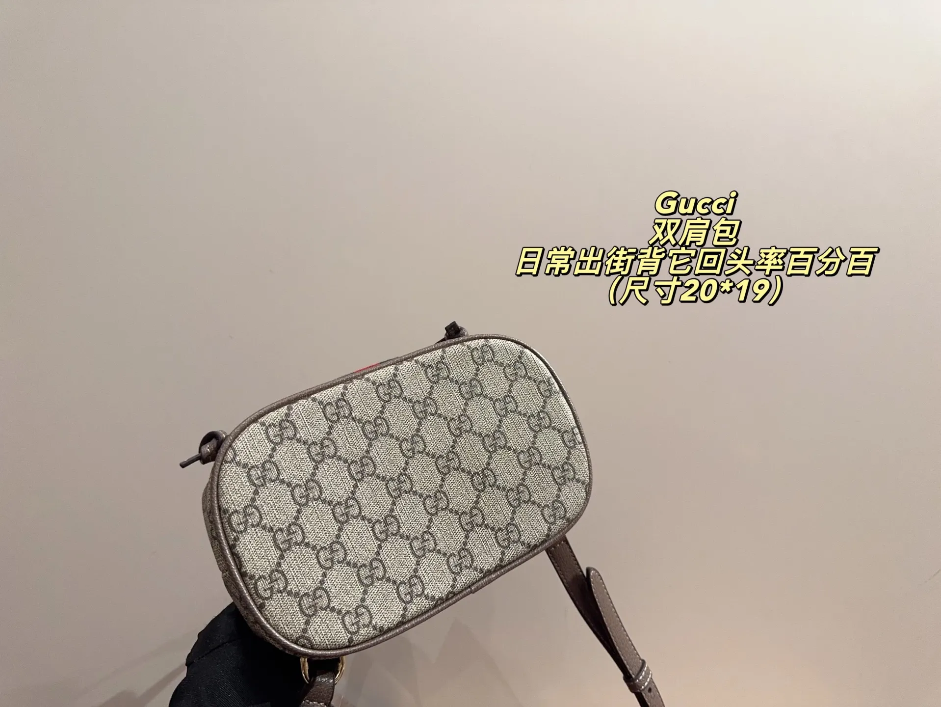 P170配折叠盒⚠️尺寸20*19 酷奇 Gucci mini双肩包 质感很高级 容量超级大也很耐用 日常出街背它回头率百分百 就是这种随性慵懒感