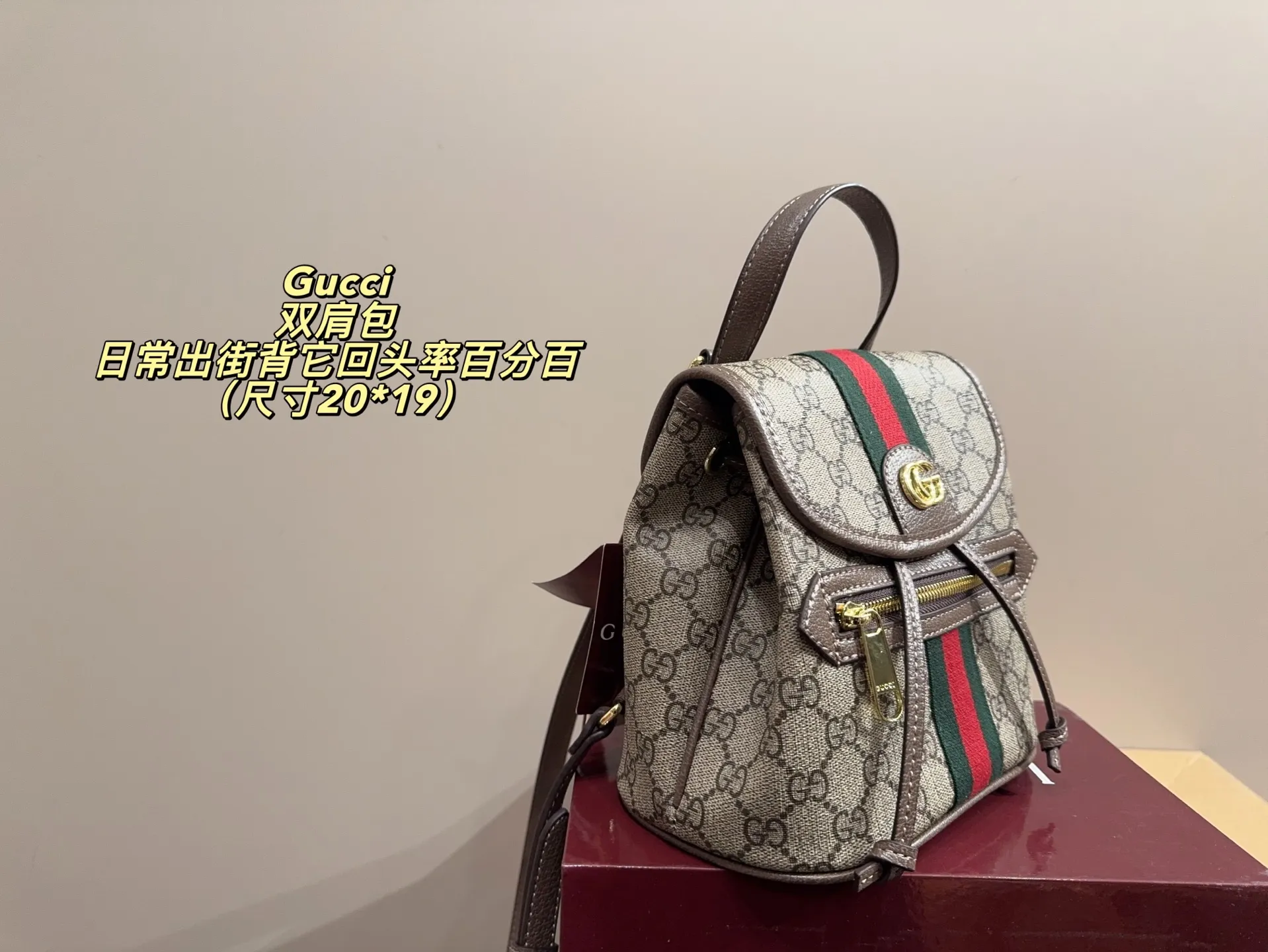 P170配折叠盒⚠️尺寸20*19 酷奇 Gucci mini双肩包 质感很高级 容量超级大也很耐用 日常出街背它回头率百分百 就是这种随性慵懒感