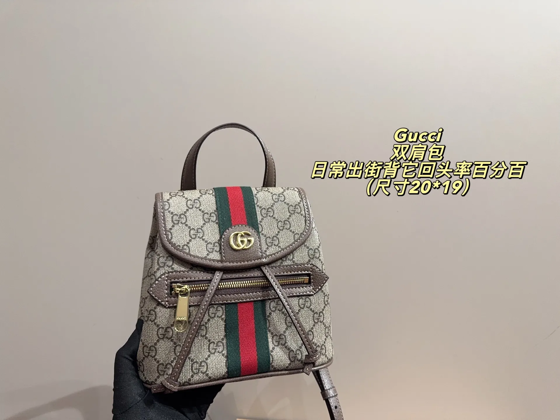 P170配折叠盒⚠️尺寸20*19 酷奇 Gucci mini双肩包 质感很高级 容量超级大也很耐用 日常出街背它回头率百分百 就是这种随性慵懒感