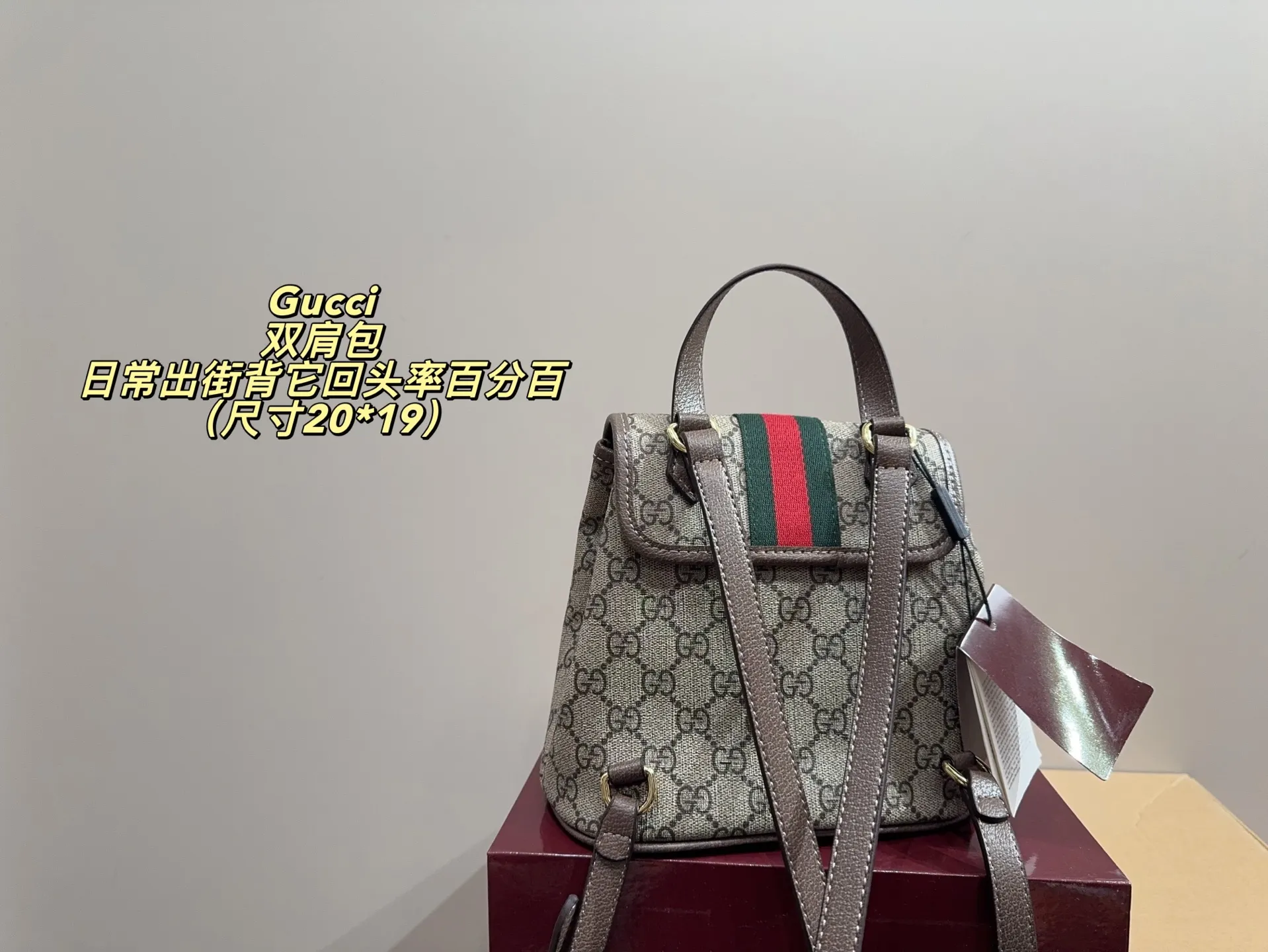 P170配折叠盒⚠️尺寸20*19 酷奇 Gucci mini双肩包 质感很高级 容量超级大也很耐用 日常出街背它回头率百分百 就是这种随性慵懒感